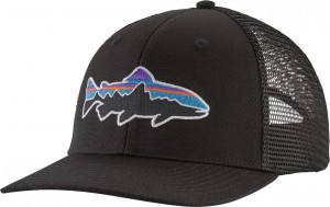 Patagonia Fitz Roy Trout Trucker Hat, BLK